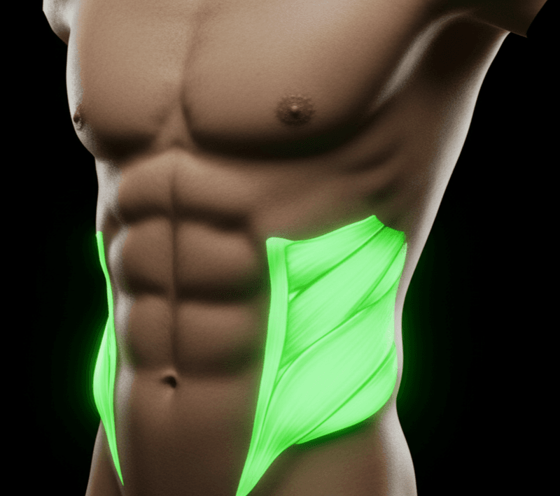 Ejercicios de oblicuos