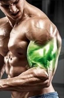 Ejercicios de tríceps